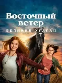 постер Восточный ветер 5: Великий ураган