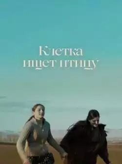 постер Клетка ищет птицу